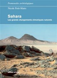 Sahara. Publié le 13/08/12